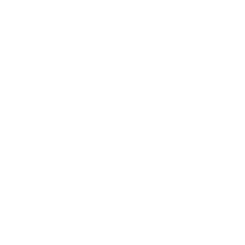 Higher Ground Mountain Guides